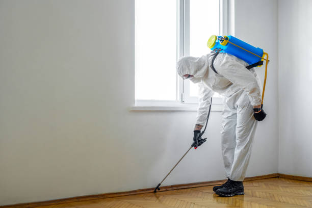 Pest Control for Restaurants in Smyrna, TN