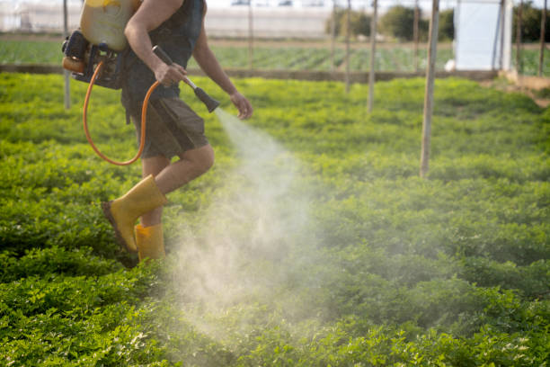 Best Pest Prevention Services  in Smyrna, TN