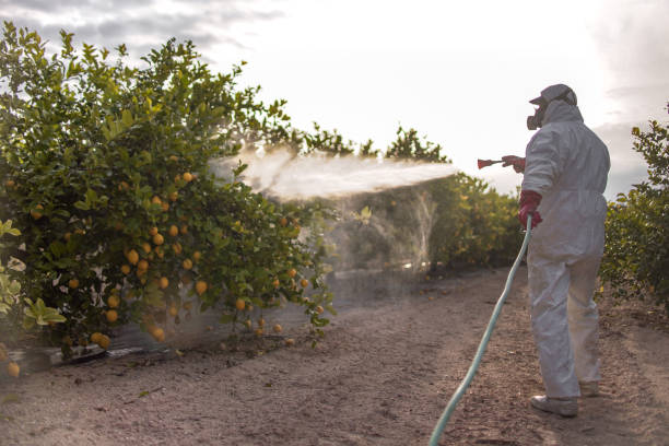 Best Best Pest Control Companies  in Smyrna, TN