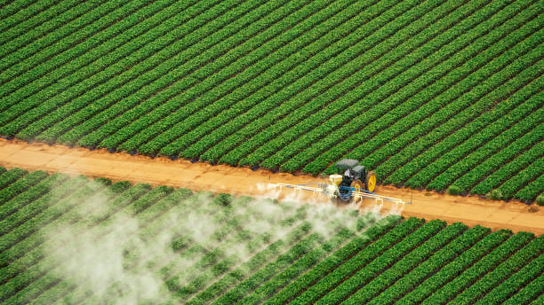 Best Mosquito Control Services  in Smyrna, TN