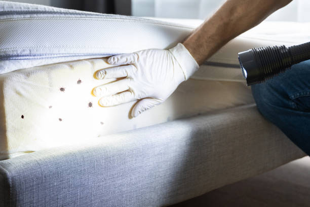 Best Pest Control Near Me in Smyrna, TN