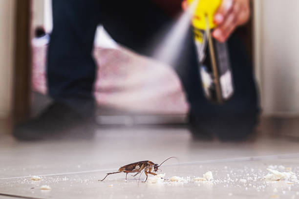 Best Best Pest Control Companies  in Smyrna, TN
