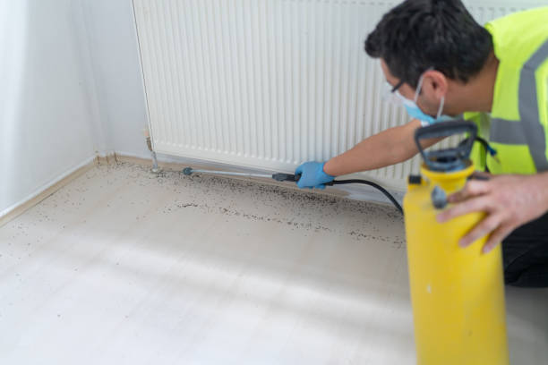 Best Pest Inspection Near Me  in Smyrna, TN