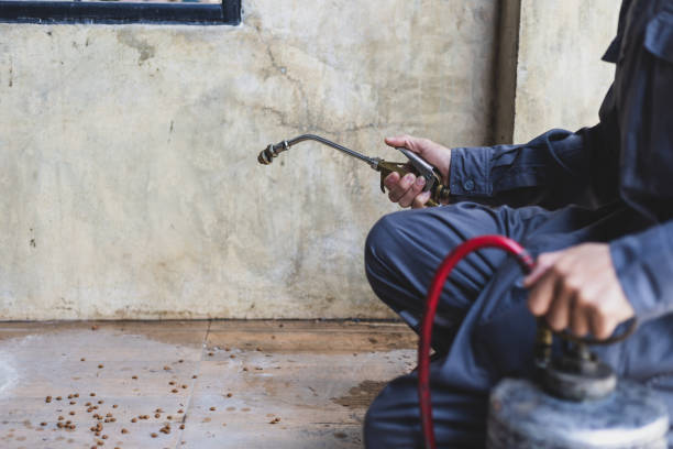 Pest Control Cost in Smyrna, TN
