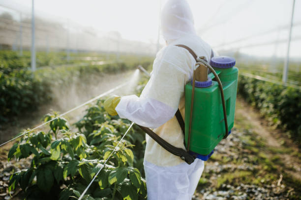Best Local Pest Control Services  in Smyrna, TN